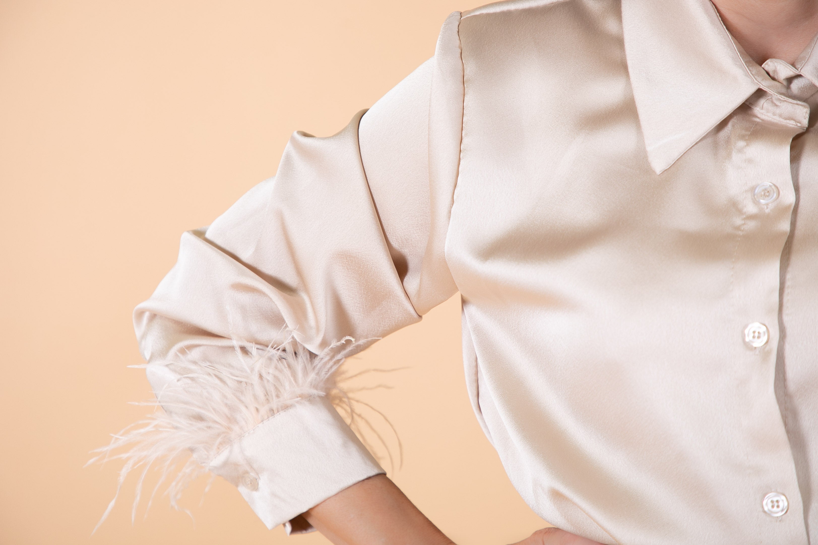 Blouse with Feather detail in Beige
